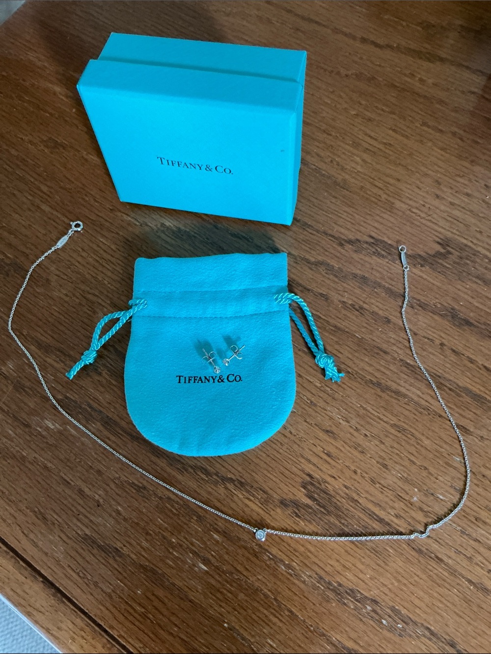 Tiffany & Co. Diamond Necklace with Pouch